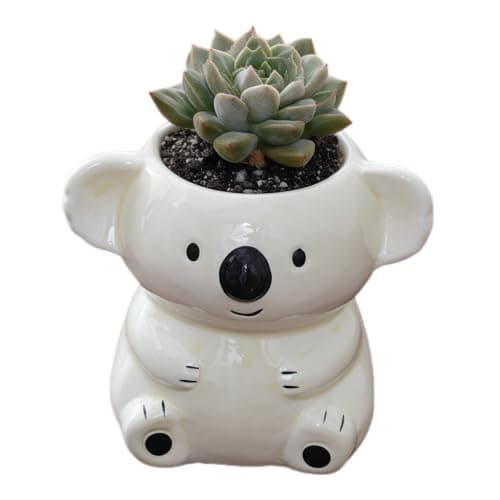 SJBAG Cute Koala Shaped Ceramic Succulent Planter with Drainage Holes, Hand - Painted Animal Pot for Indoor Cactus & Succulents, Unique Home Decor & Gift (Yellow)