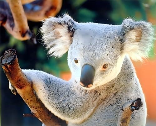 Wall Decor Koala Bear Holding a Tree Kids Room Art Print Poster (16x20)