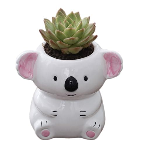 SJBAG Cute Koala Shaped Ceramic Succulent Planter, White