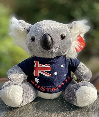 Aeisage Koala Stuffed Animal - 6 Inch Plush Koala Bear with T-Shirt, Super Soft Australian Souvenir Gift